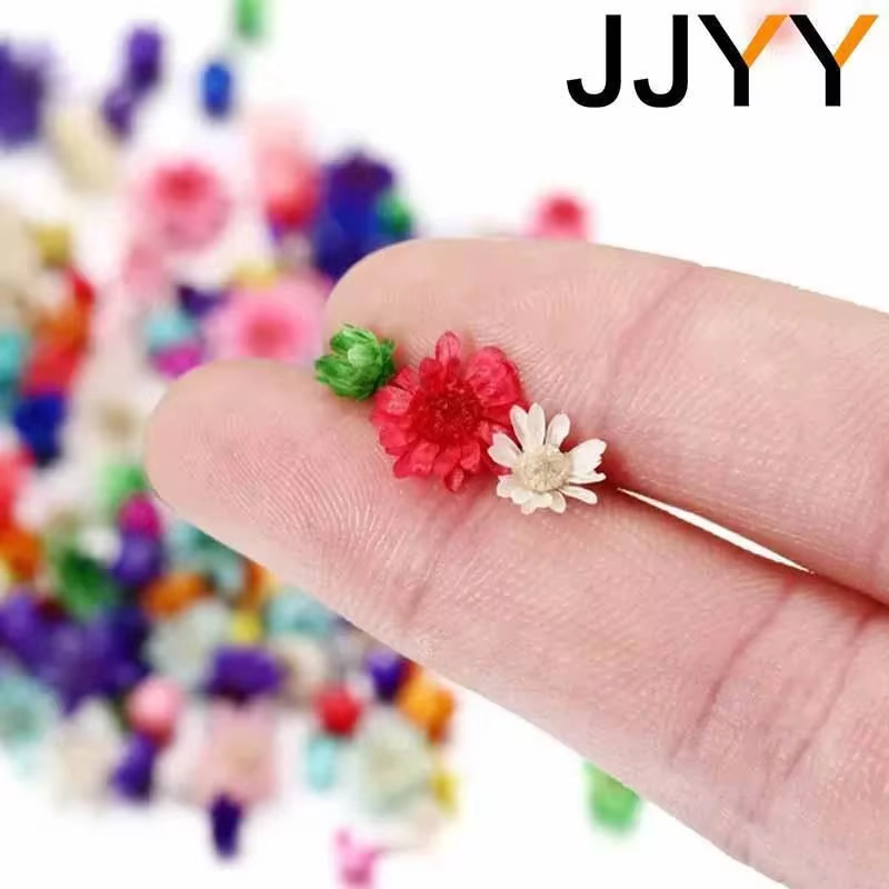 Mini Dried Flower Pack