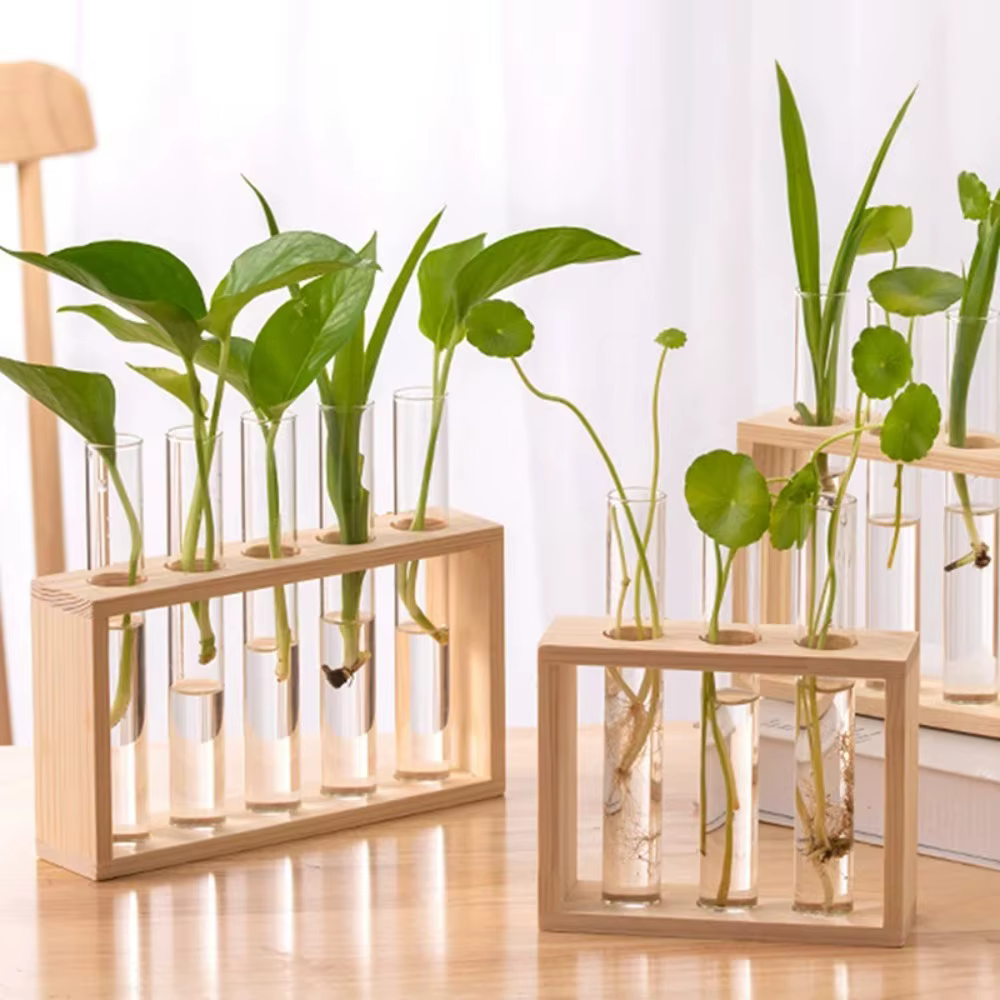 Wooden Test Tube Propagation Vase