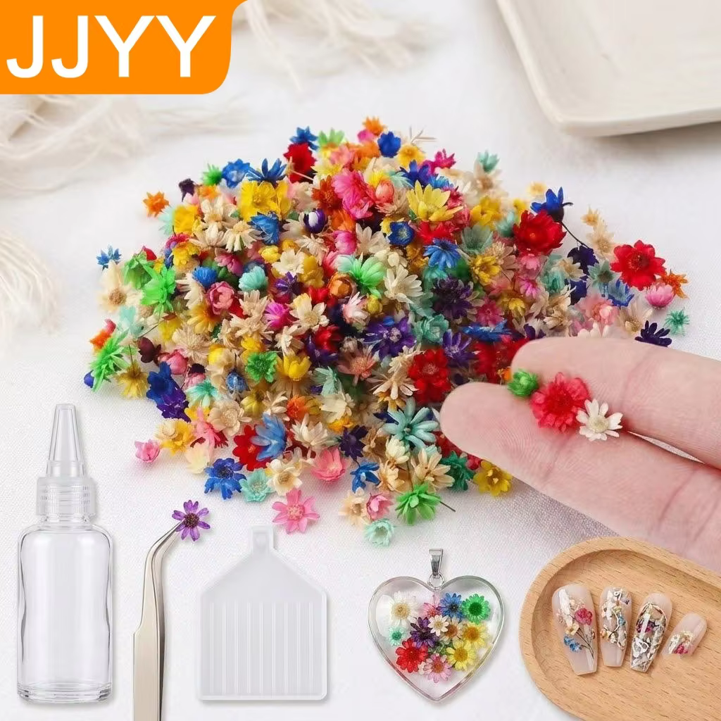 Mini Dried Flower Pack – Lilvelle Chanukah party finds