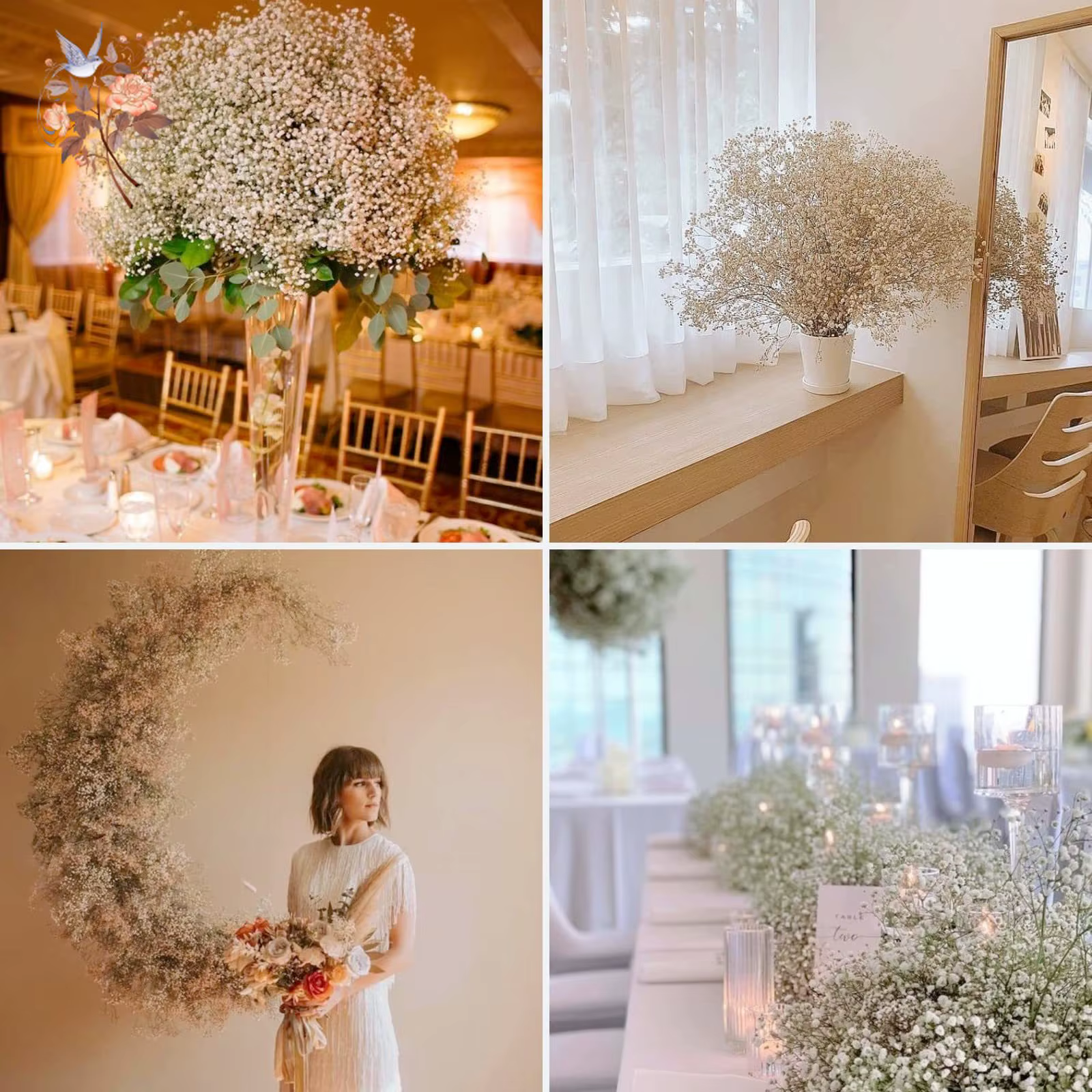 Dried baby's breath bouquet
