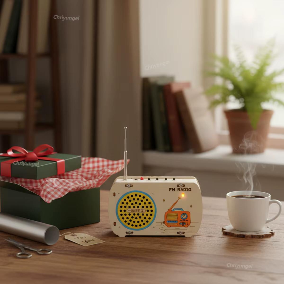 DIY Wooden Radio Kit