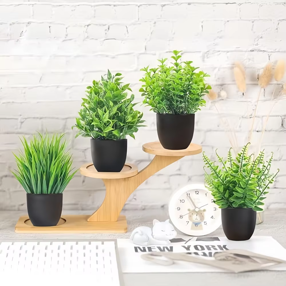 Potted Mini Plant Set