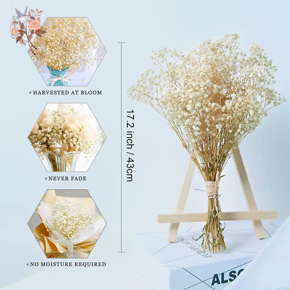 Dried baby's breath bouquet