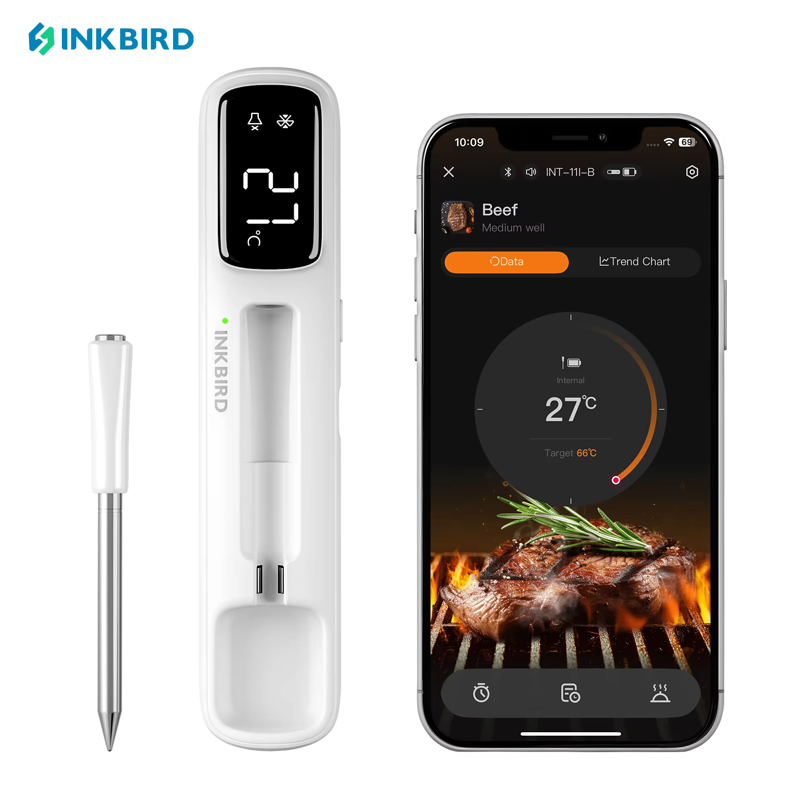 INKBIRD Mini Wireless Meat Thermometer – Lilvelle gift for Tatty