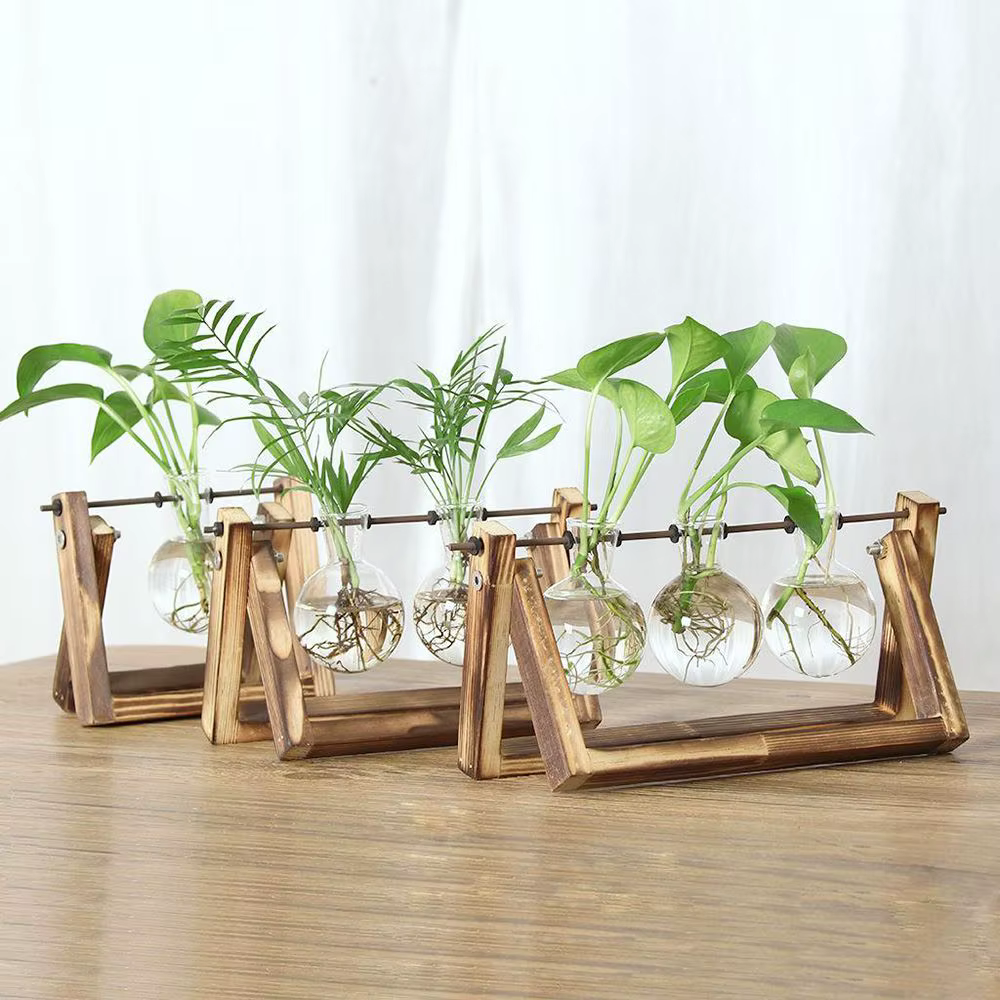 Wooden Frame Glass Terrarium Planter – Lilvelle For Mum find