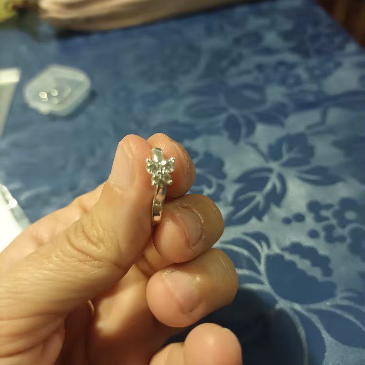 Butterfly Hoop Earrings