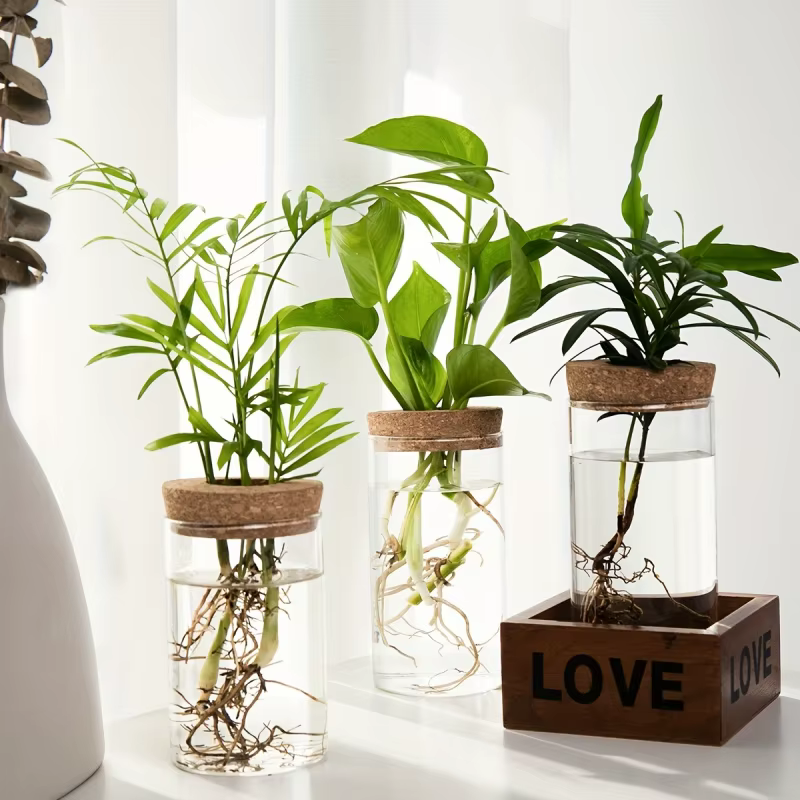 Glass Bud Vase on Wooden Stand