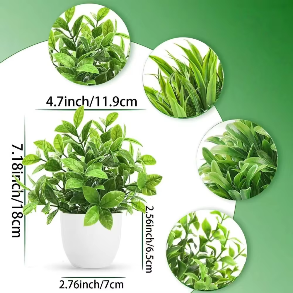 Potted Mini Plant Set