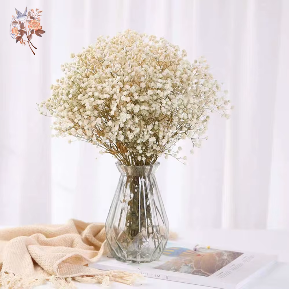 Dried baby's breath bouquet