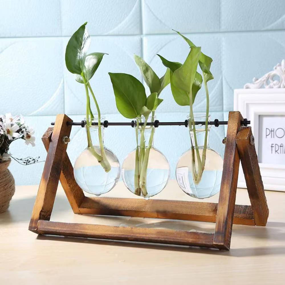 Wooden Frame Glass Terrarium Planter