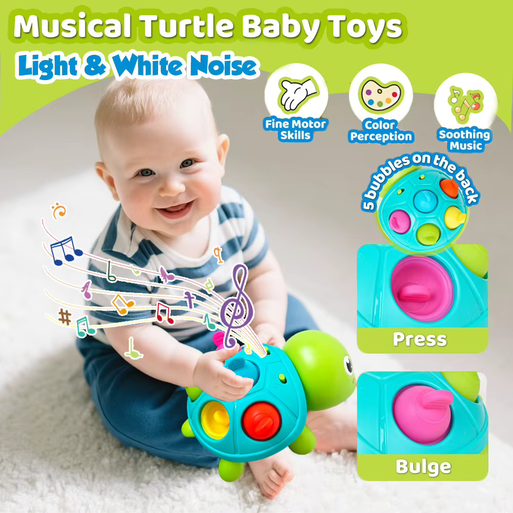 Musical Crawling Turtle