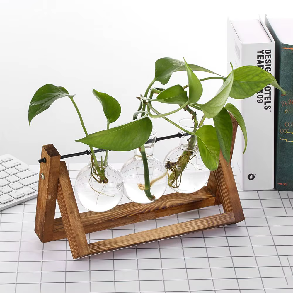 Wooden Frame Glass Terrarium Planter