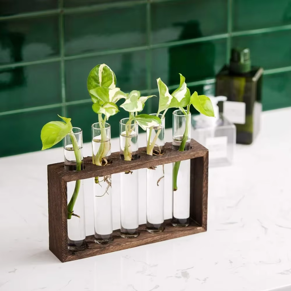 Wooden Test Tube Propagation Vase