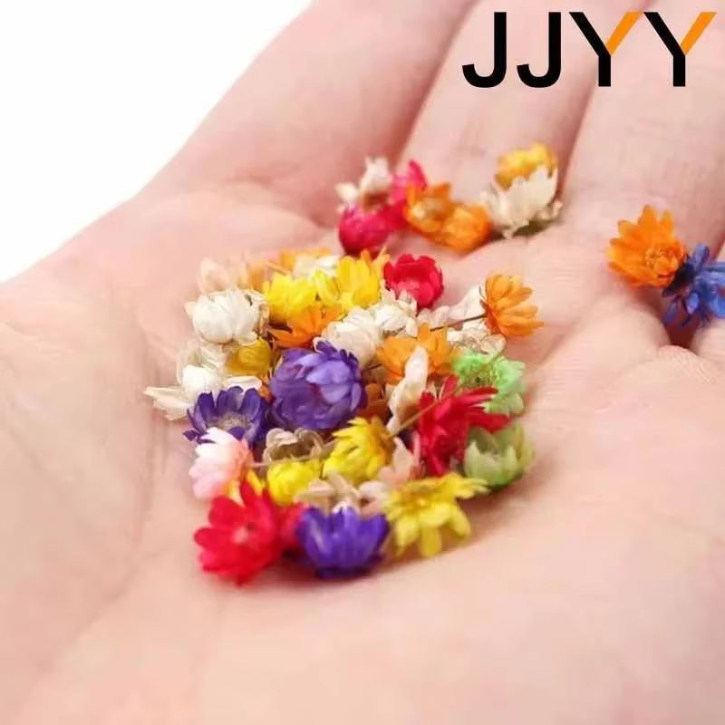 Mini Dried Flower Pack