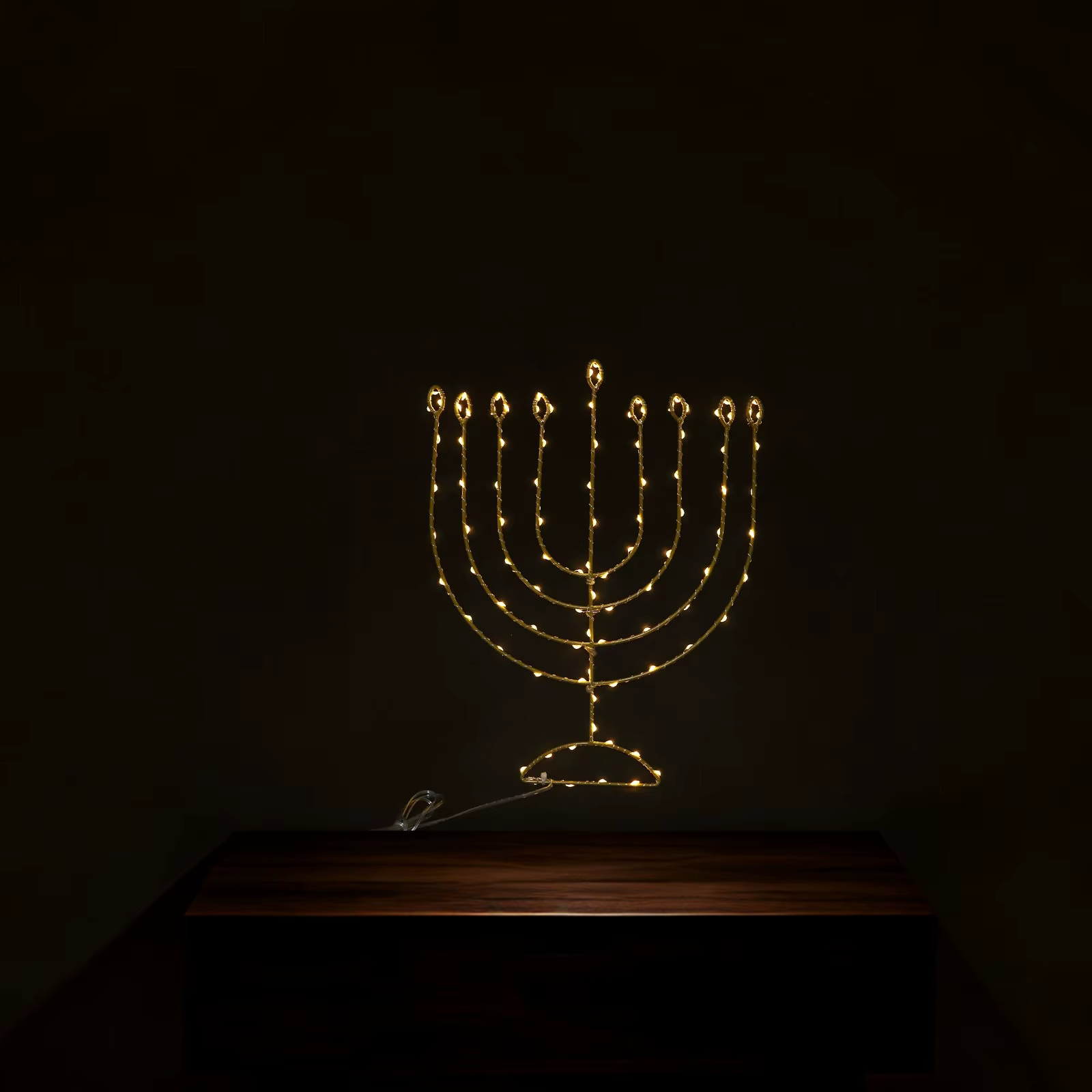 Chanukah Menorah Window Light — image 2