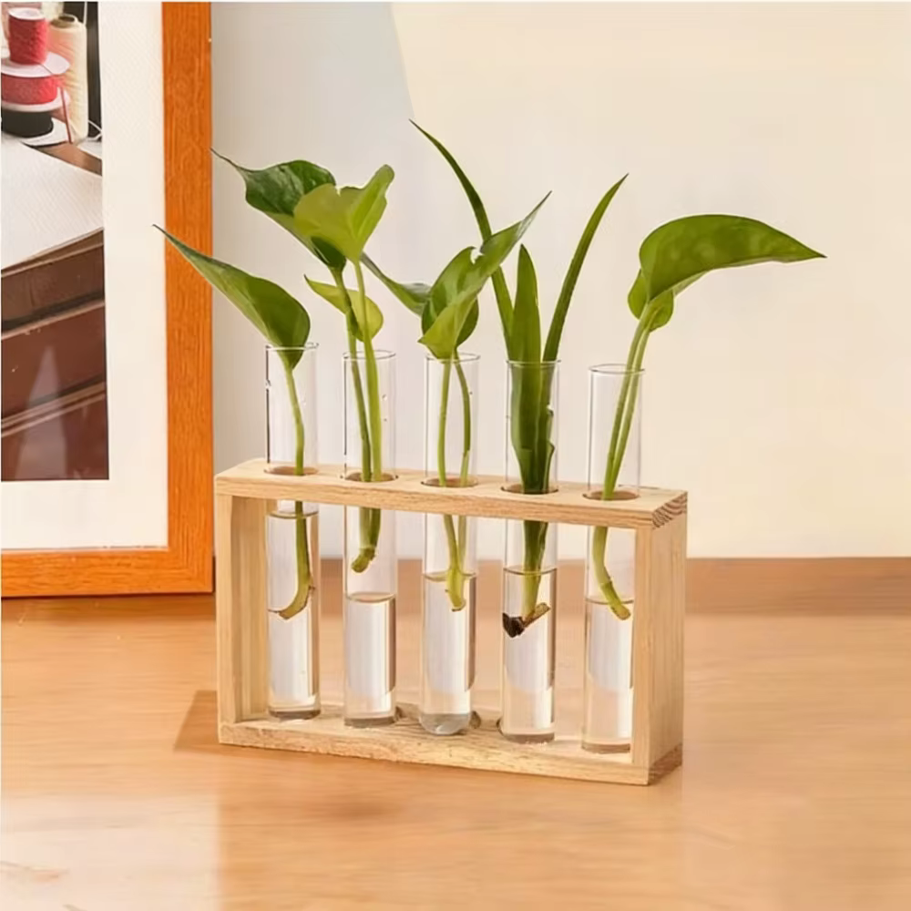 Wooden Test Tube Propagation Vase