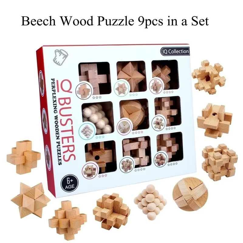 Brain Teaser Puzzle Set (9)