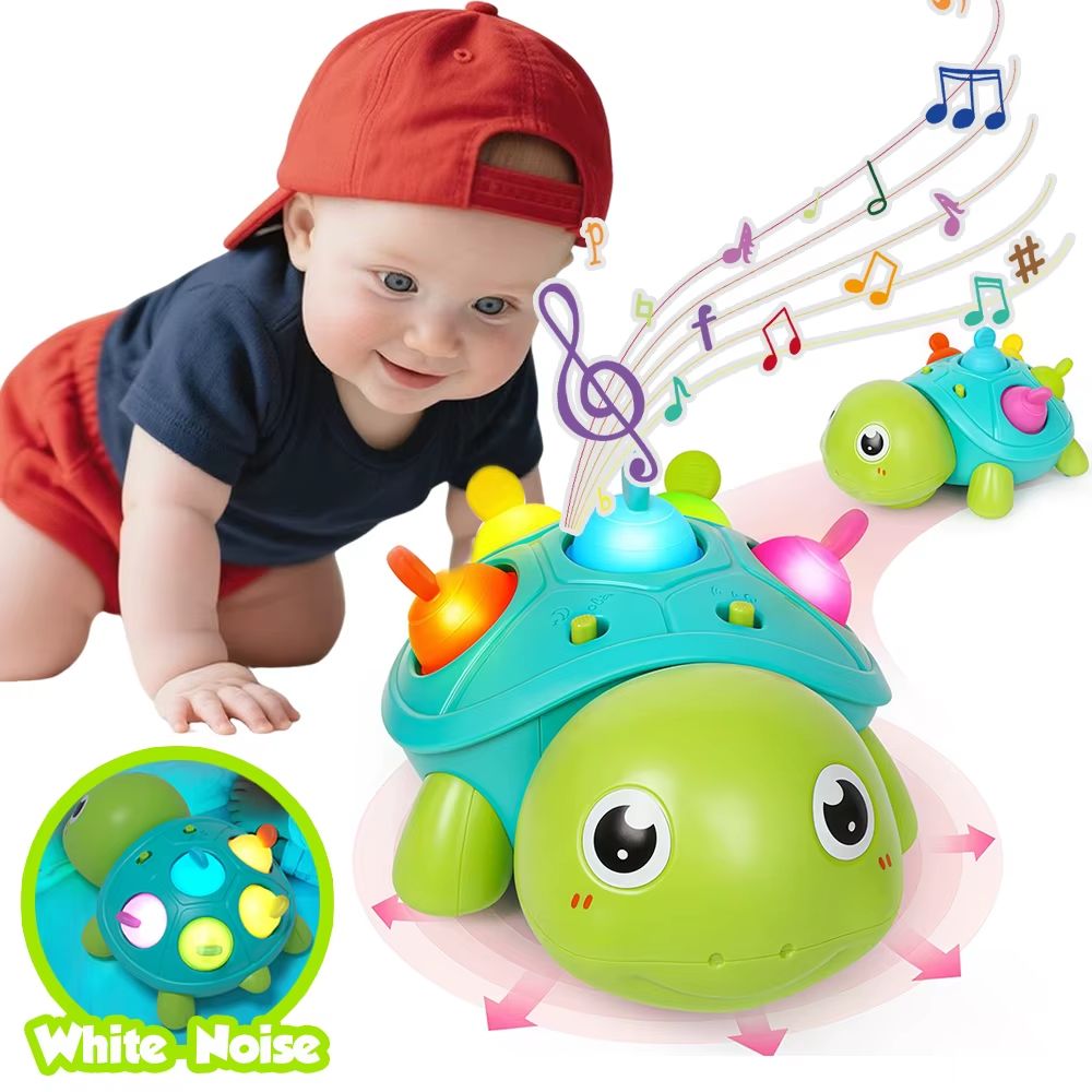 Musical Crawling Turtle
