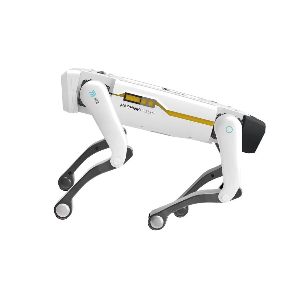 RC Robot Dog – Housekeeping robot